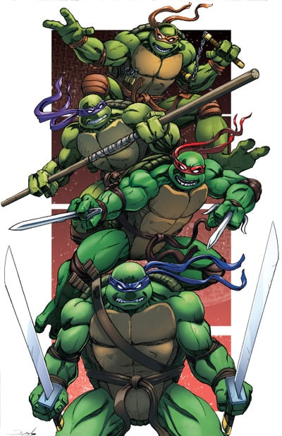  Teenage Mutant Ninja Turtles